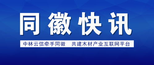 項(xiàng)城醫(yī)藥行業(yè)網(wǎng)站建設(shè)解決方案 打造數(shù)字化健康門(mén)戶(hù)